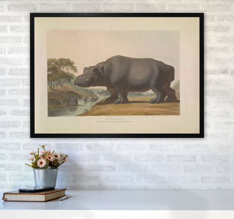 Vintage Hippo Illustration Art Print by Jason Stanley A1 White Frame