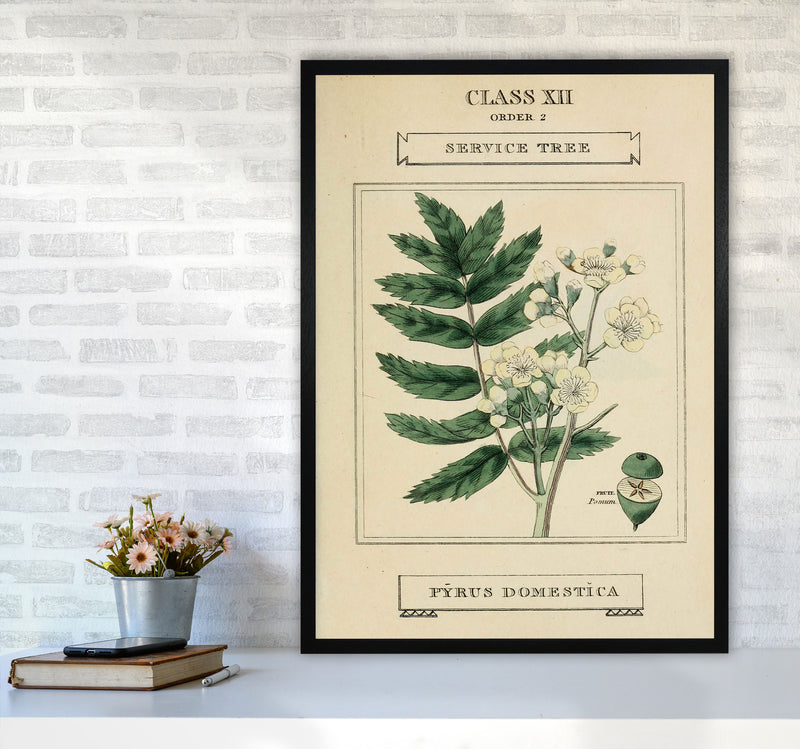 Vintage Flower Series 5 Art Print by Jason Stanley A1 White Frame