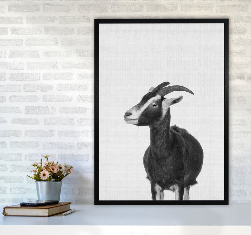 This Goat Takes The Cake Art Print by Jason Stanley A1 White Frame