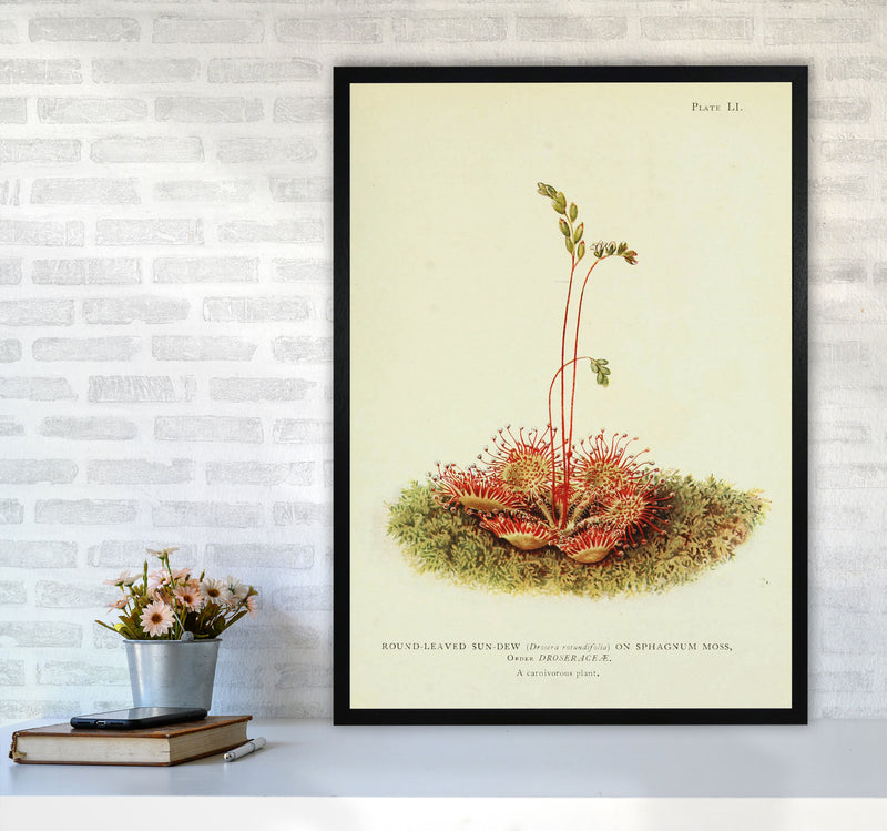 A Carnivorous Plant Art Print by Jason Stanley A1 White Frame