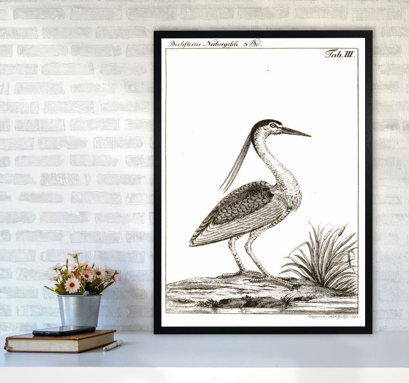 Vintage Hunting Bird Art Print by Jason Stanley A1 White Frame