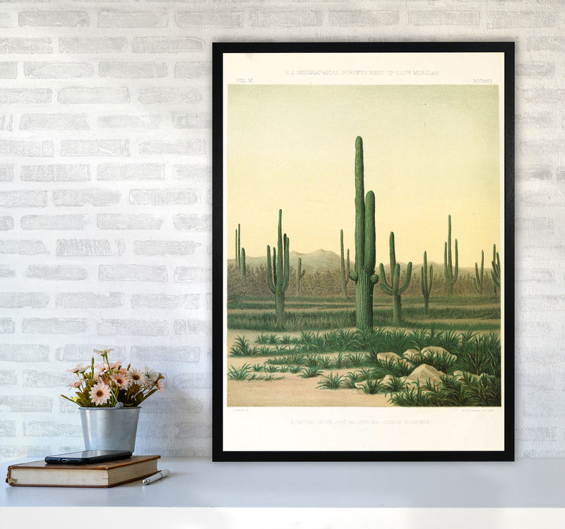 Vintage Desert Cactus Art Print by Jason Stanley A1 White Frame
