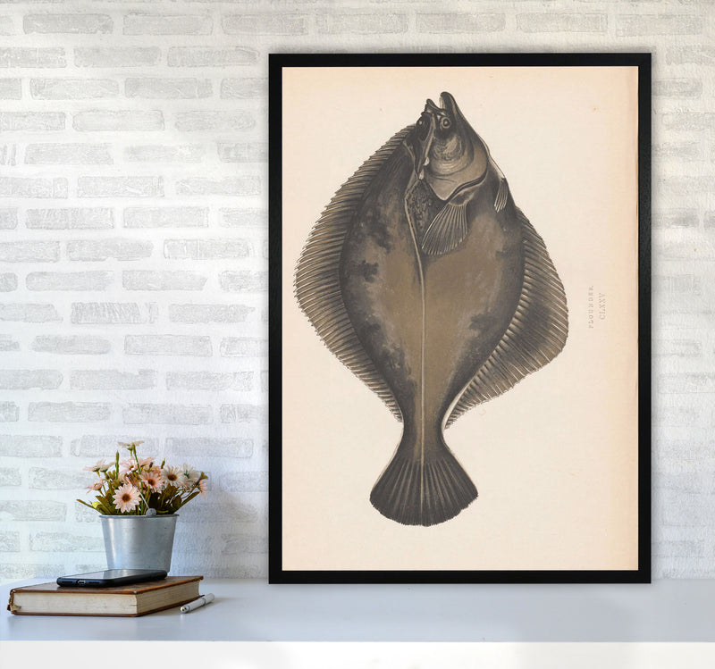 Vintage Flounder Art Print by Jason Stanley A1 White Frame