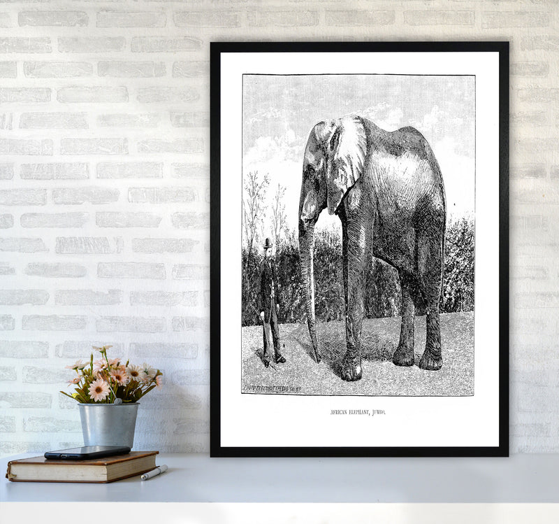 African Elephant Art Print by Jason Stanley A1 White Frame
