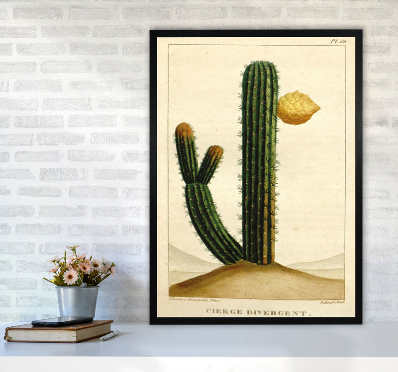 Vintage Cactus II Art Print by Jason Stanley A1 White Frame