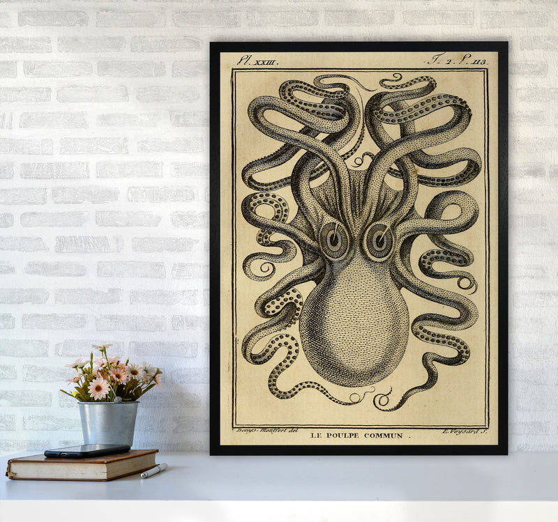 Vintage Octopus 2 Art Print by Jason Stanley A1 White Frame
