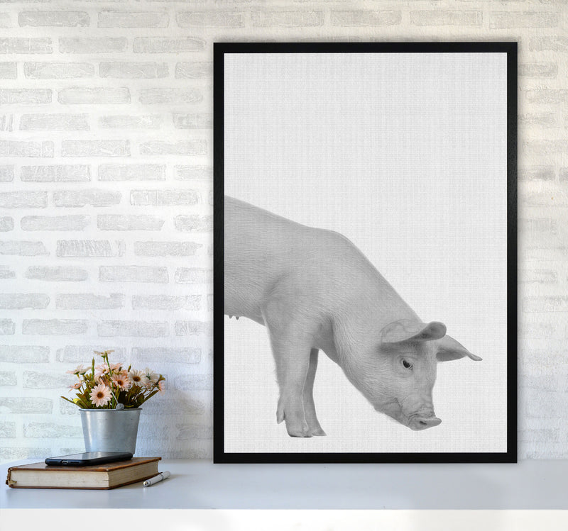 The Cleanest Pig Art Print by Jason Stanley A1 White Frame
