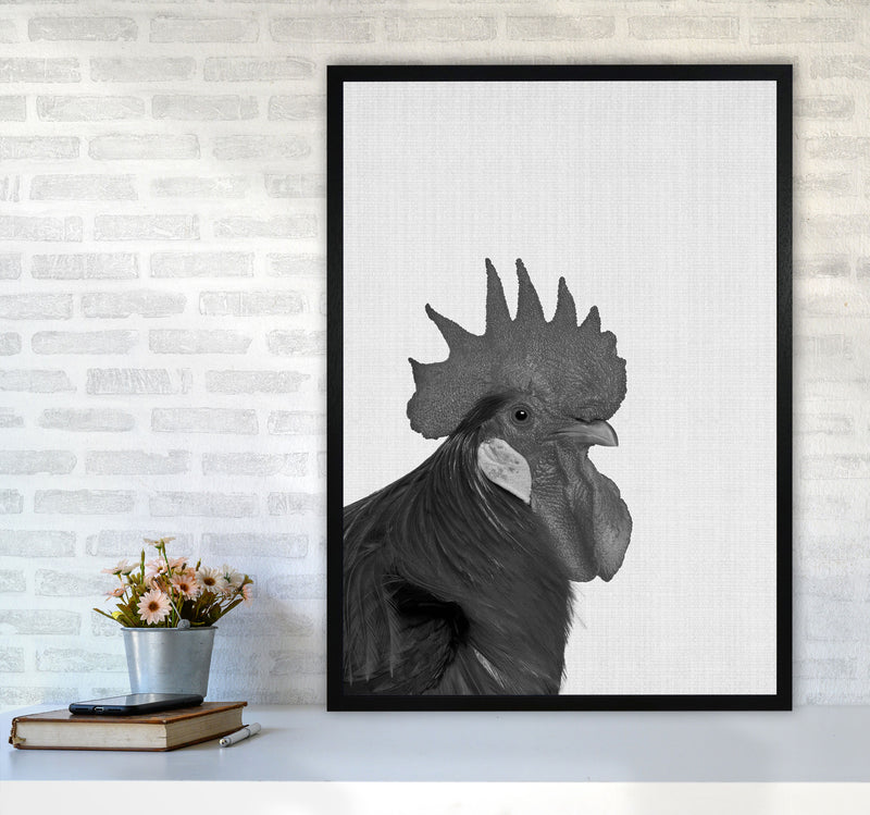 Cock A Doodle Doo Art Print by Jason Stanley A1 White Frame