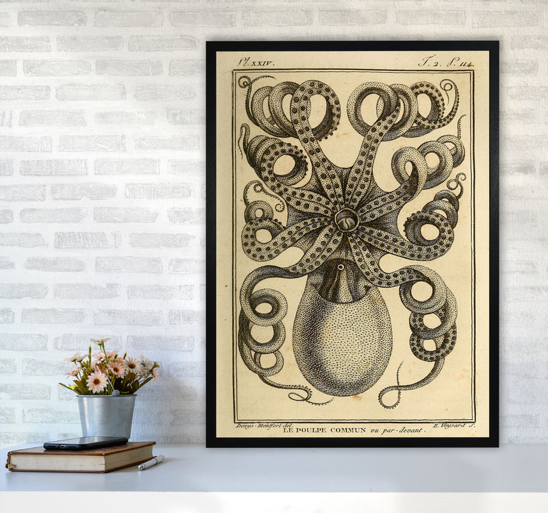 Vintage Octopus Art Print by Jason Stanley A1 White Frame