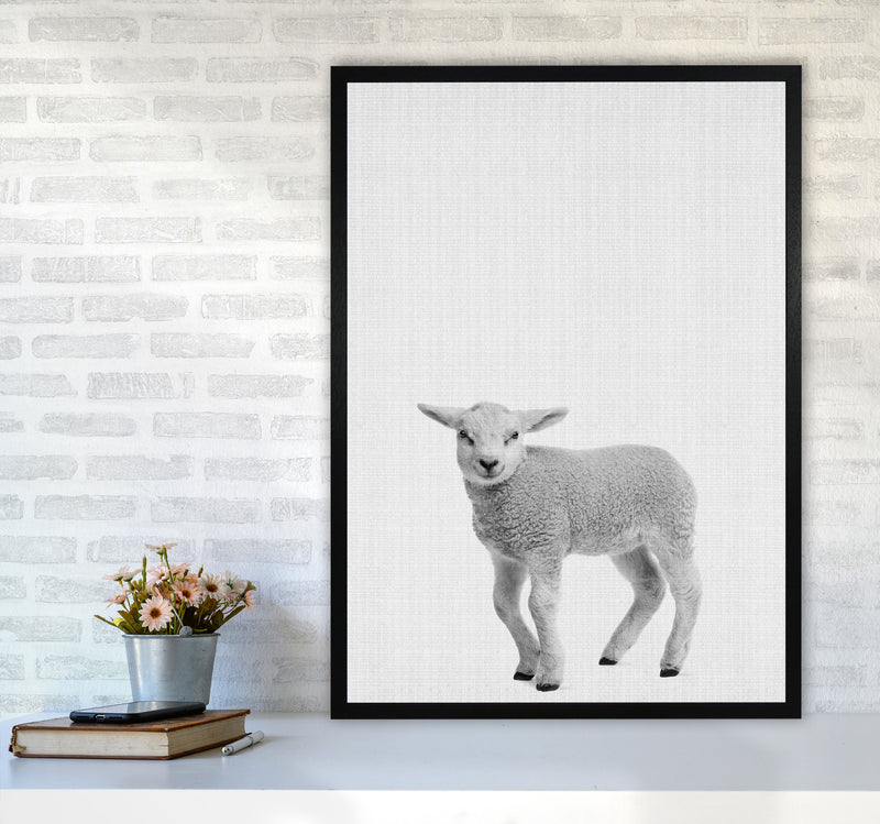 Lamb Art Print by Jason Stanley A1 White Frame