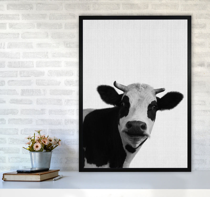 Holy Cow Art Print by Jason Stanley A1 White Frame