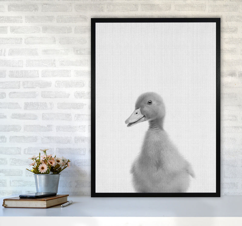 Curious Duck Art Print by Jason Stanley A1 White Frame