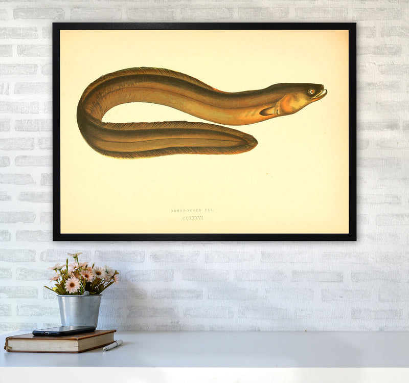 Broad Nosed Eel Art Print by Jason Stanley A1 White Frame