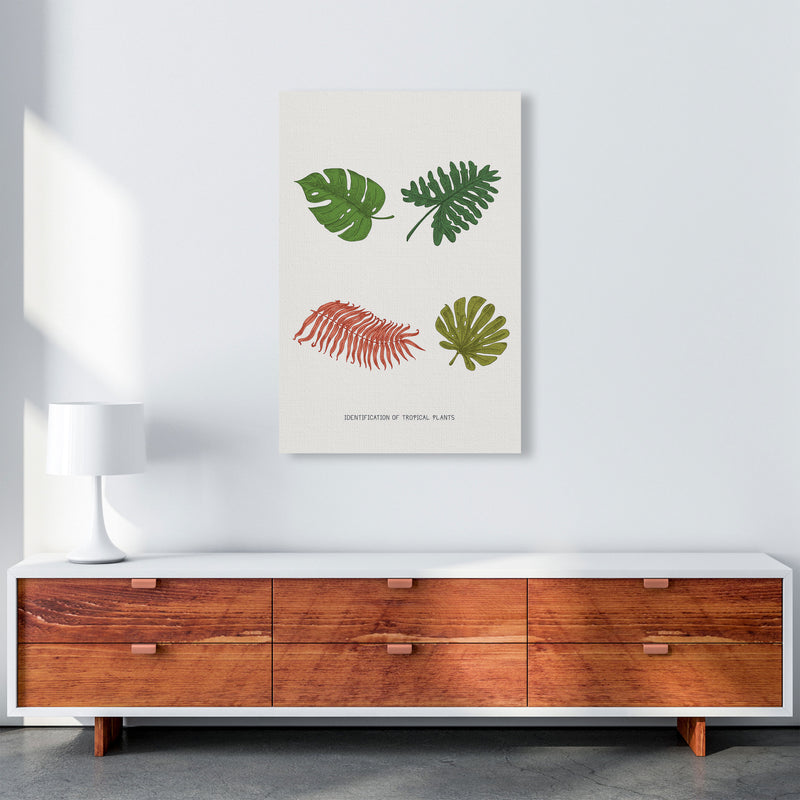 Identification Of Tropical Plants Art Print by Jason Stanley A1 Canvas