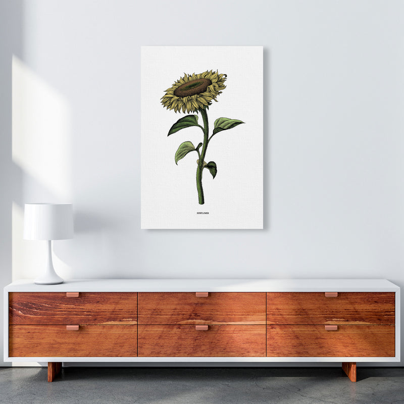 Sunflowers For President Art Print by Jason Stanley A1 Canvas
