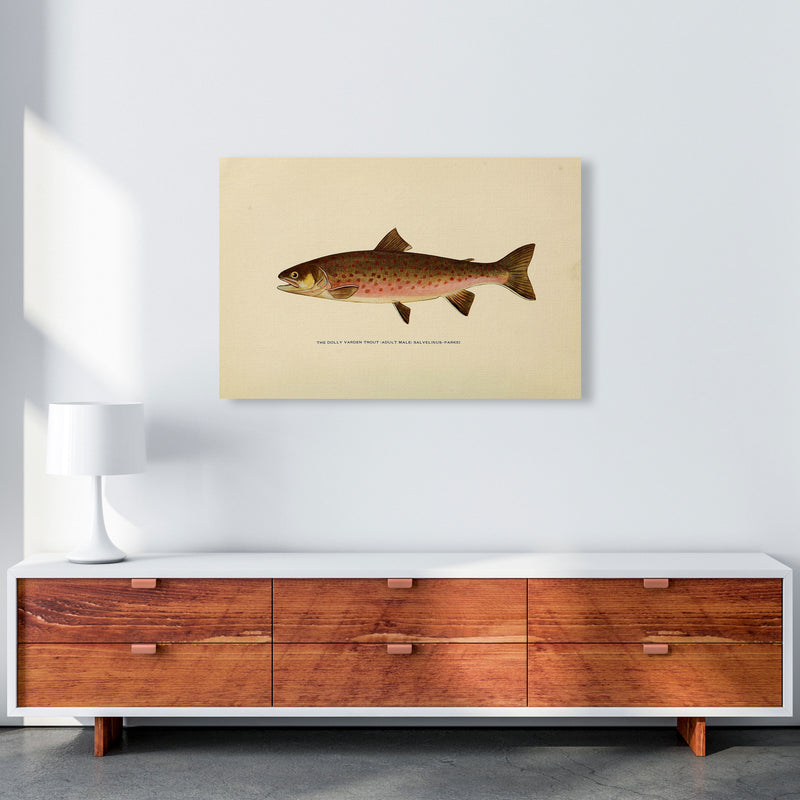 Dolly Varden Trout Illustration Art Print by Jason Stanley A1 Canvas