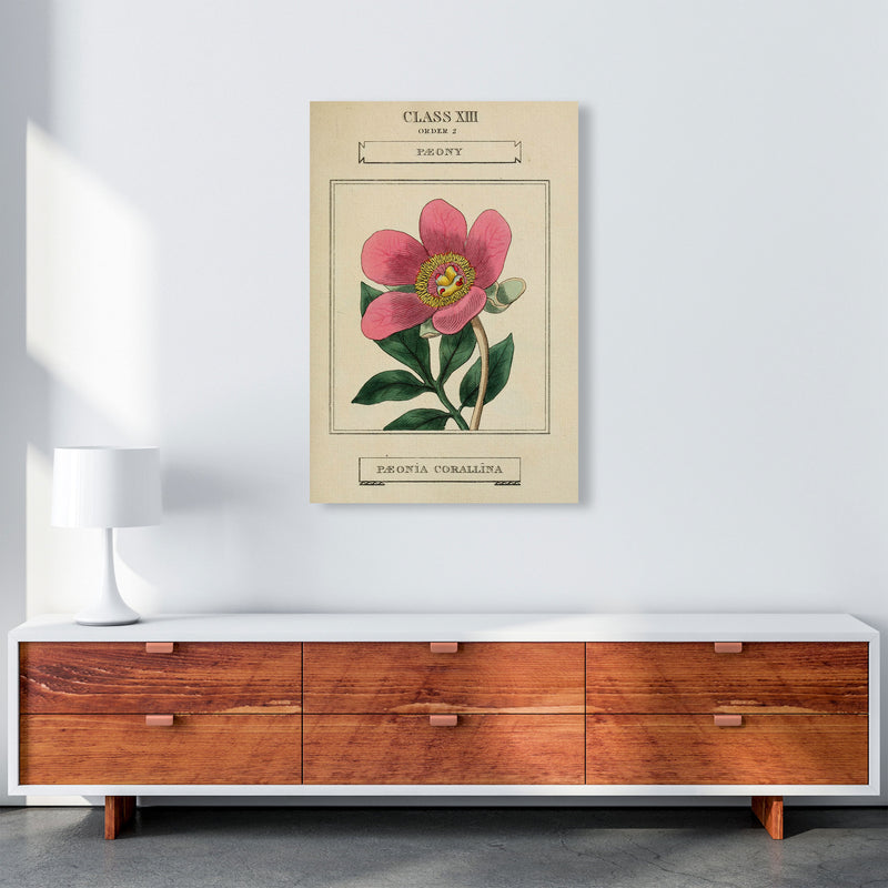 Vintage Flower Series 6 Art Print by Jason Stanley A1 Canvas