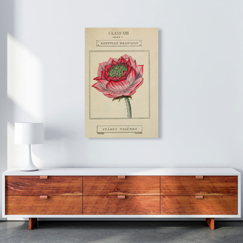 Vintage Flower Series 7 Art Print by Jason Stanley A1 Canvas