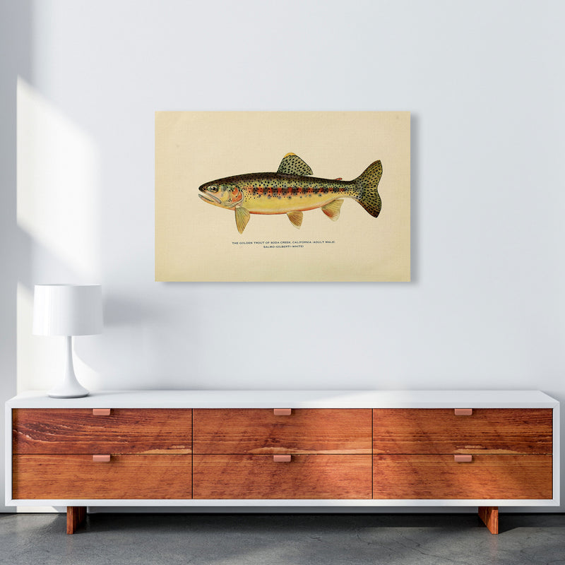 Golden Trout Illustration Art Print by Jason Stanley A1 Canvas