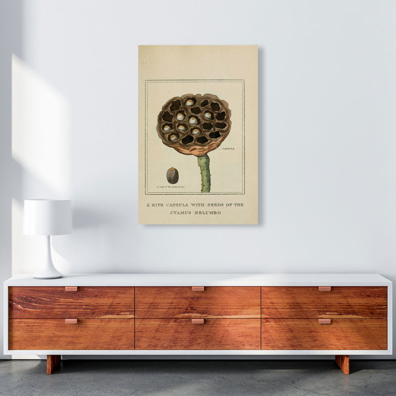 Vintage Flower Series 3 Art Print by Jason Stanley A1 Canvas