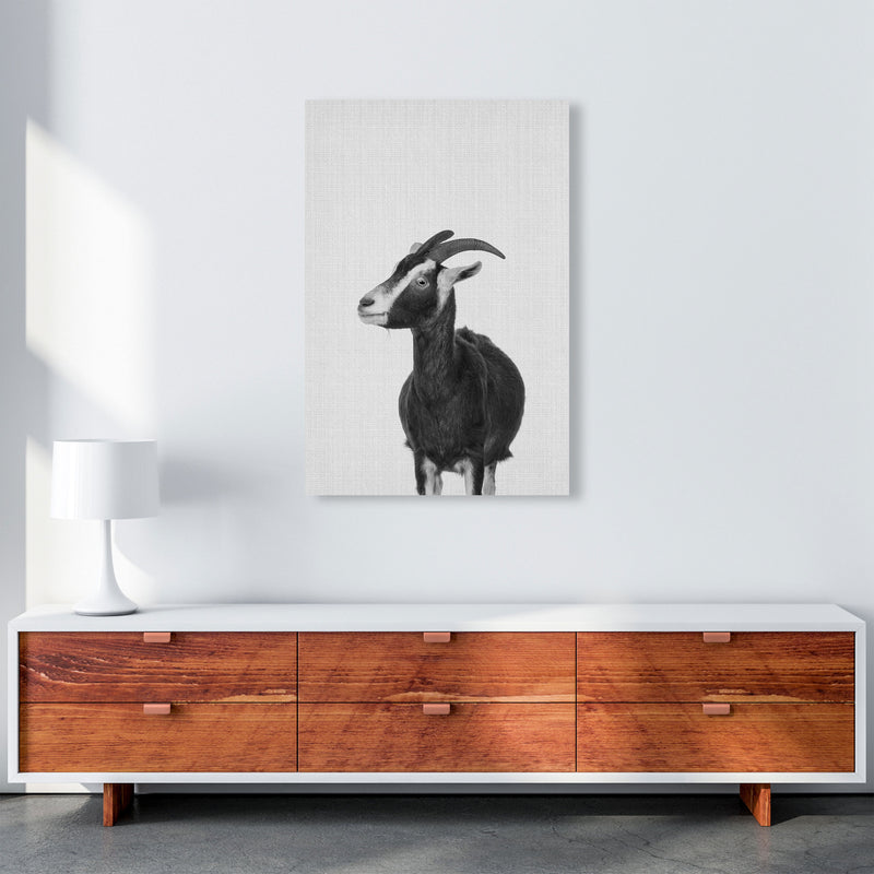 This Goat Takes The Cake Art Print by Jason Stanley A1 Canvas