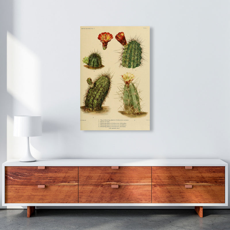 Cactus Series 1 Art Print by Jason Stanley A1 Canvas