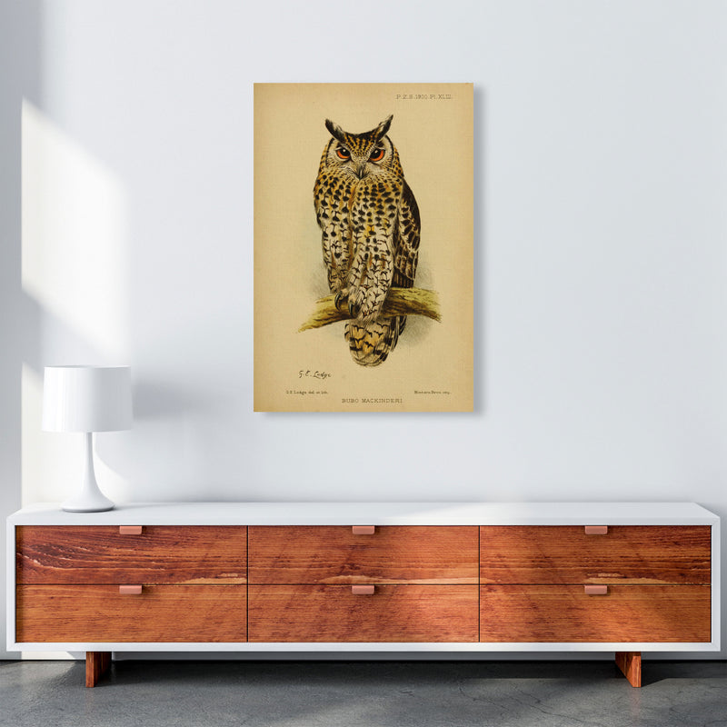 Vintage Owl Copy Art Print by Jason Stanley A1 Canvas