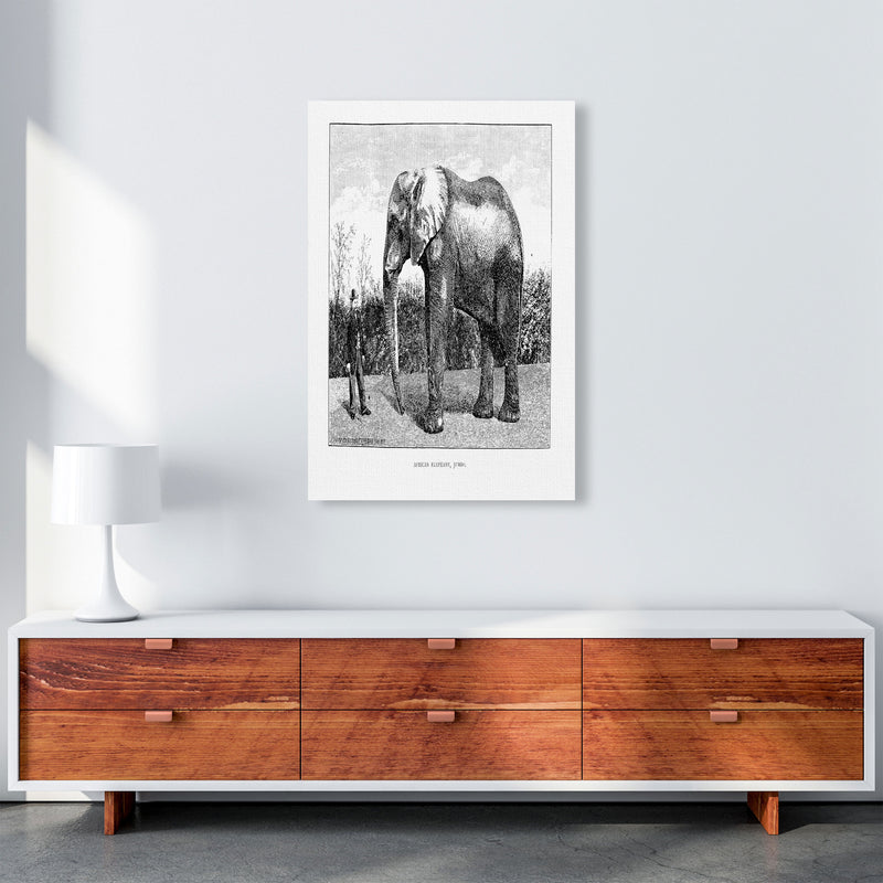 African Elephant Art Print by Jason Stanley A1 Canvas