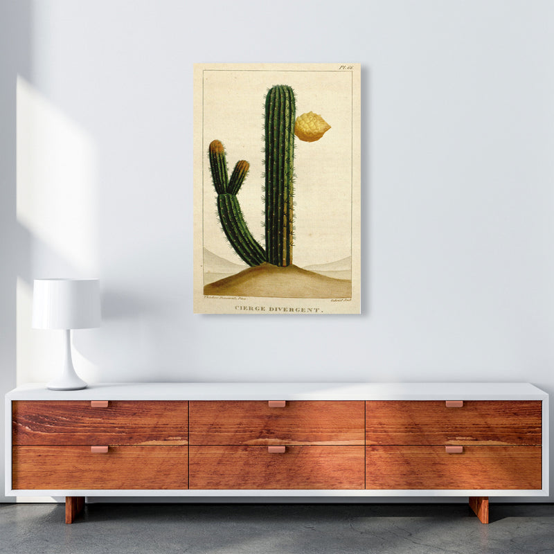 Vintage Cactus II Art Print by Jason Stanley A1 Canvas