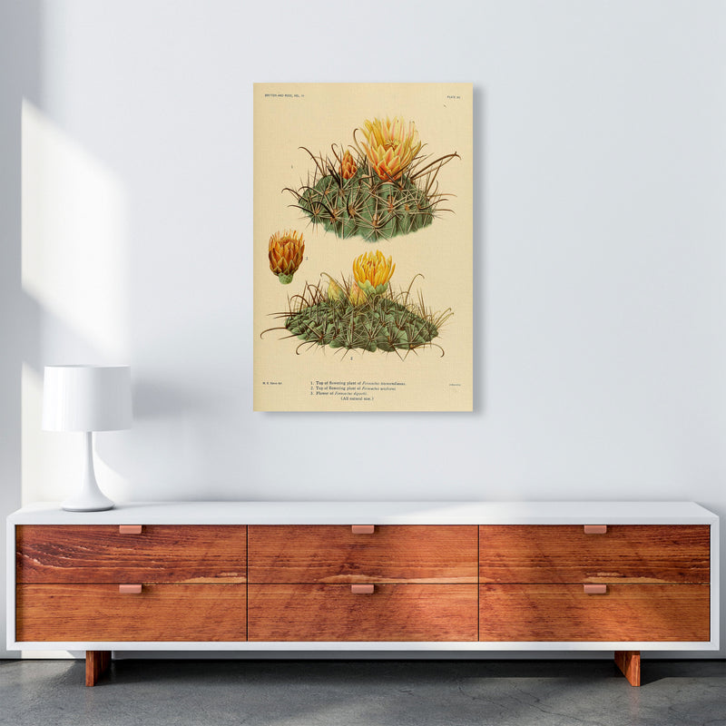 Cactus Series 9 Art Print by Jason Stanley A1 Canvas