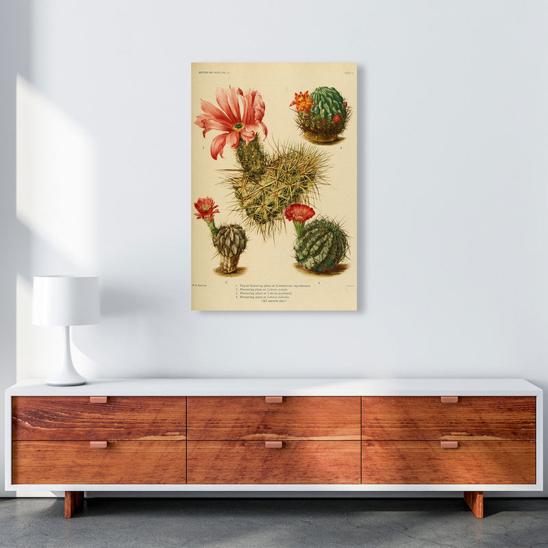 Cactus Series 4 Art Print by Jason Stanley A1 Canvas