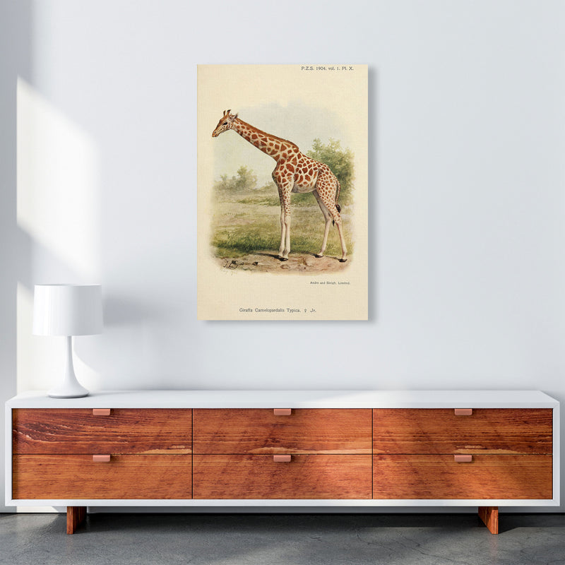 The Gentle Giraffe Art Print by Jason Stanley A1 Canvas