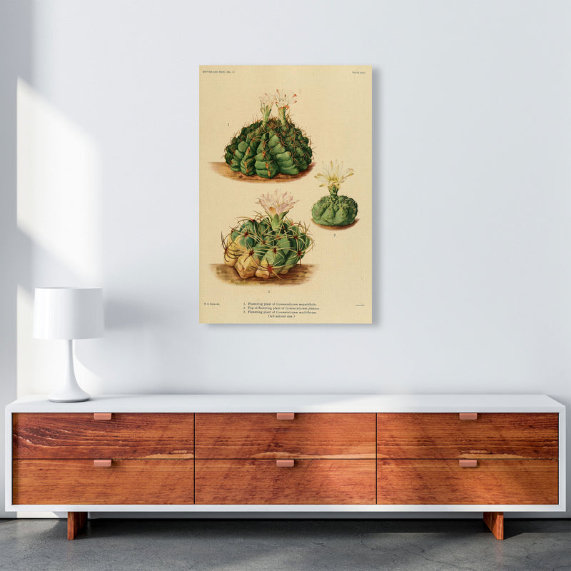 Cactus Series 13 Art Print by Jason Stanley A1 Canvas