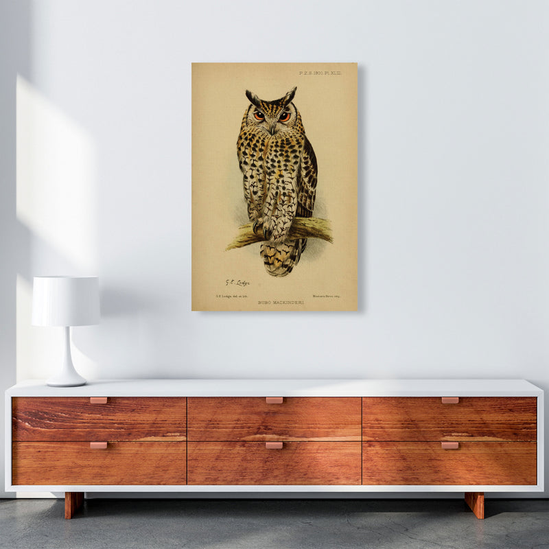 Vintage Owl Art Print by Jason Stanley A1 Canvas