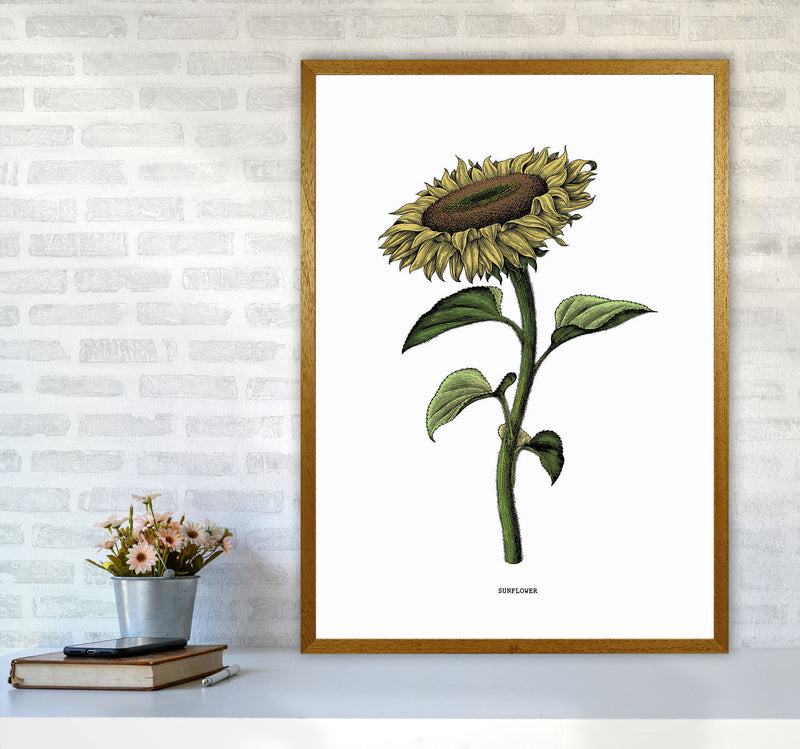 Sunflowers For President Art Print by Jason Stanley A1 Print Only