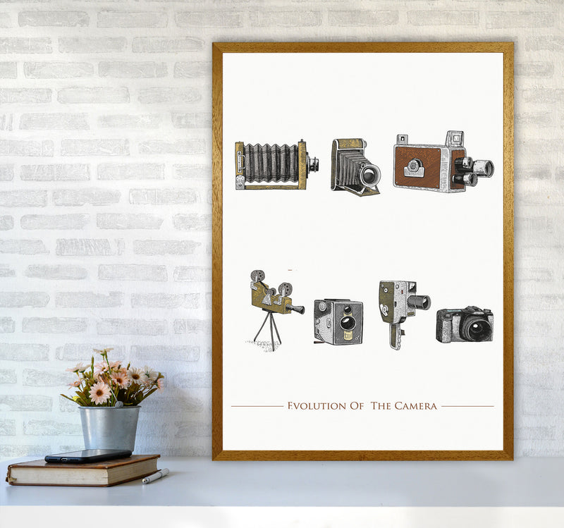 Evolution Of The Camera Art Print by Jason Stanley A1 Print Only