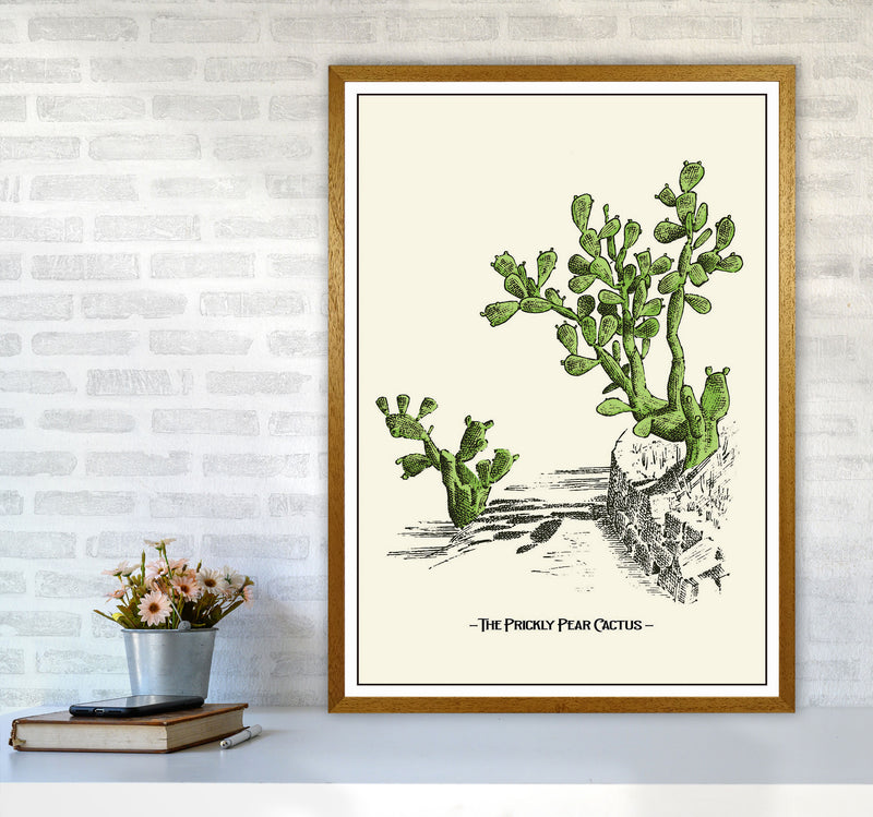 The Prickly Pear Cactus Art Print by Jason Stanley A1 Print Only