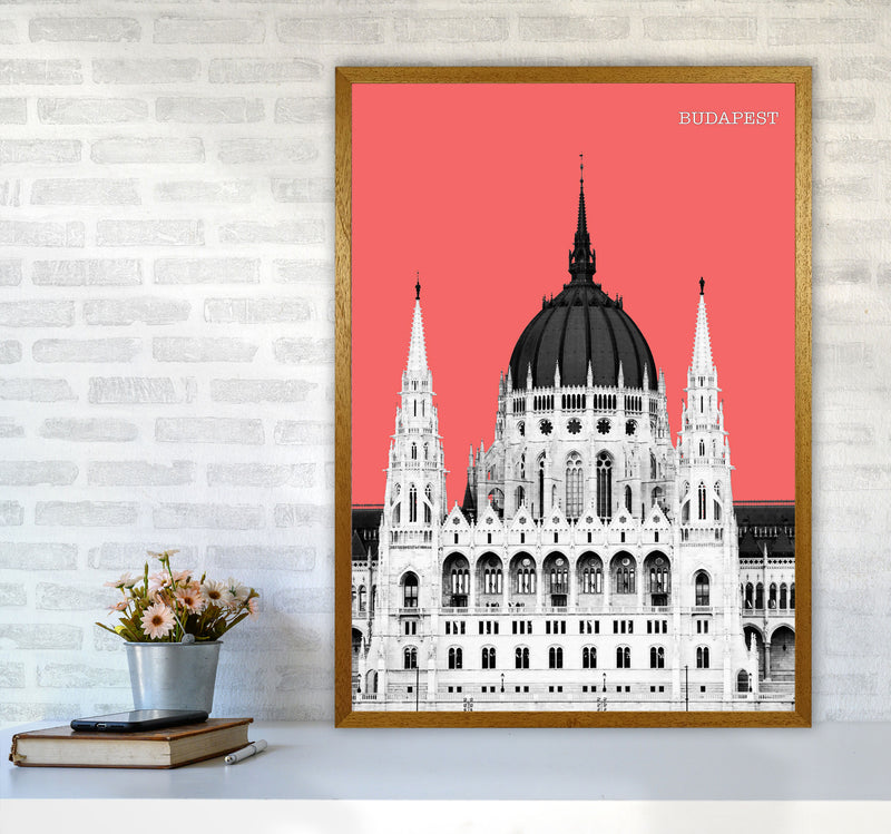 Halftone Budapest Red Art Print by Jason Stanley A1 Print Only