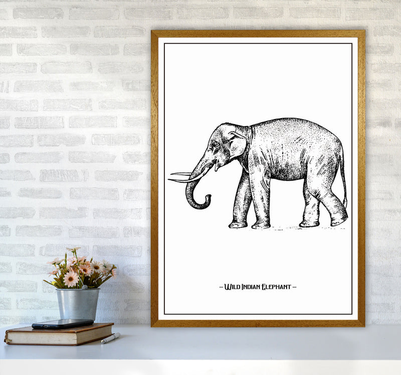 Wild Indian Elephant Art Print by Jason Stanley A1 Print Only