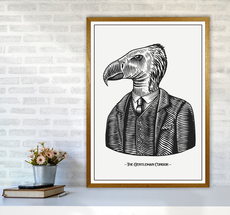 The Gentleman Condor Art Print by Jason Stanley A1 Print Only