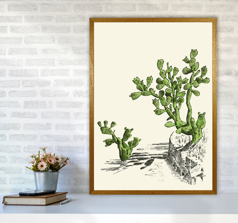 Prickly Pear Cactus Art Print by Jason Stanley A1 Print Only