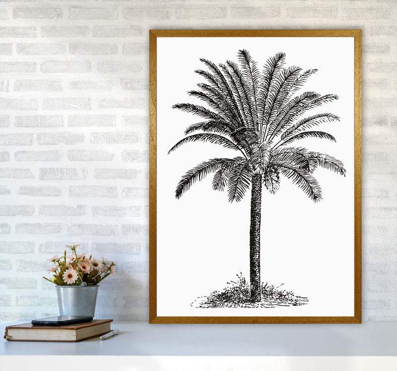 Vintage Palm Tree Art Print by Jason Stanley A1 Print Only