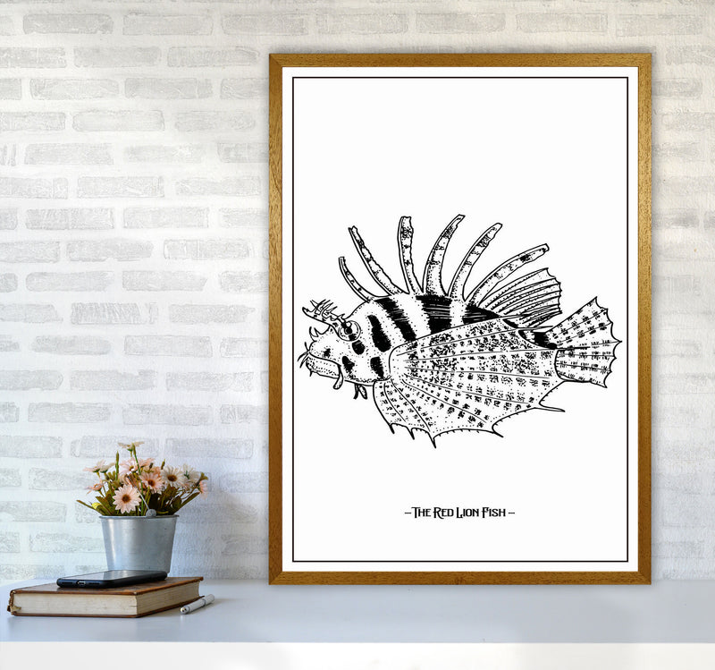 The Red Lion Fish Art Print by Jason Stanley A1 Print Only