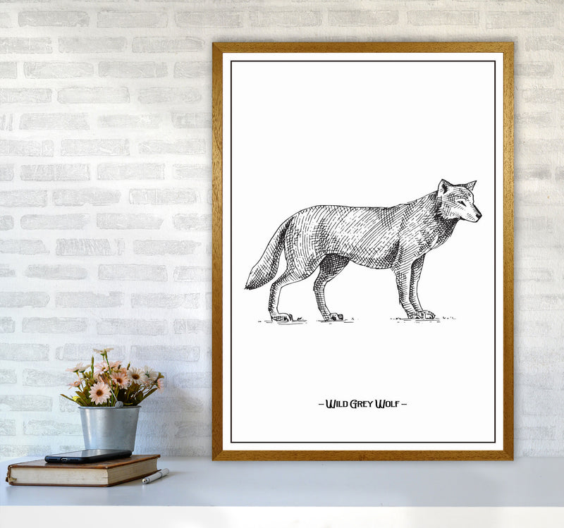 Wild Grey Wolf Art Print by Jason Stanley A1 Print Only
