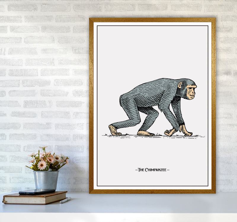 The Chimpanzee Art Print by Jason Stanley A1 Print Only