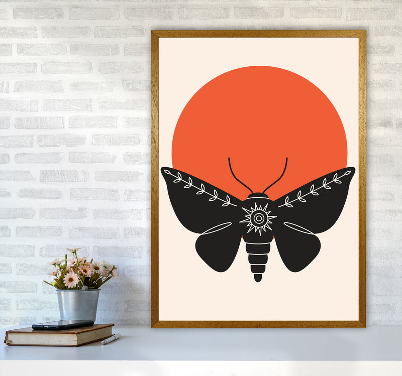 Sunshine Moth Art Print by Jason Stanley A1 Print Only