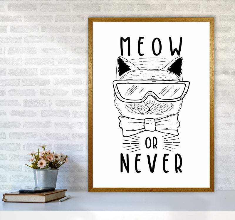 Meow Or Never Art Print by Jason Stanley A1 Print Only