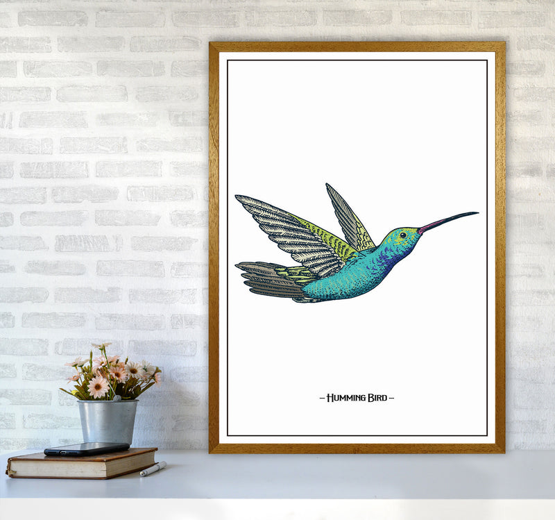 Humming Bird Art Print by Jason Stanley A1 Print Only