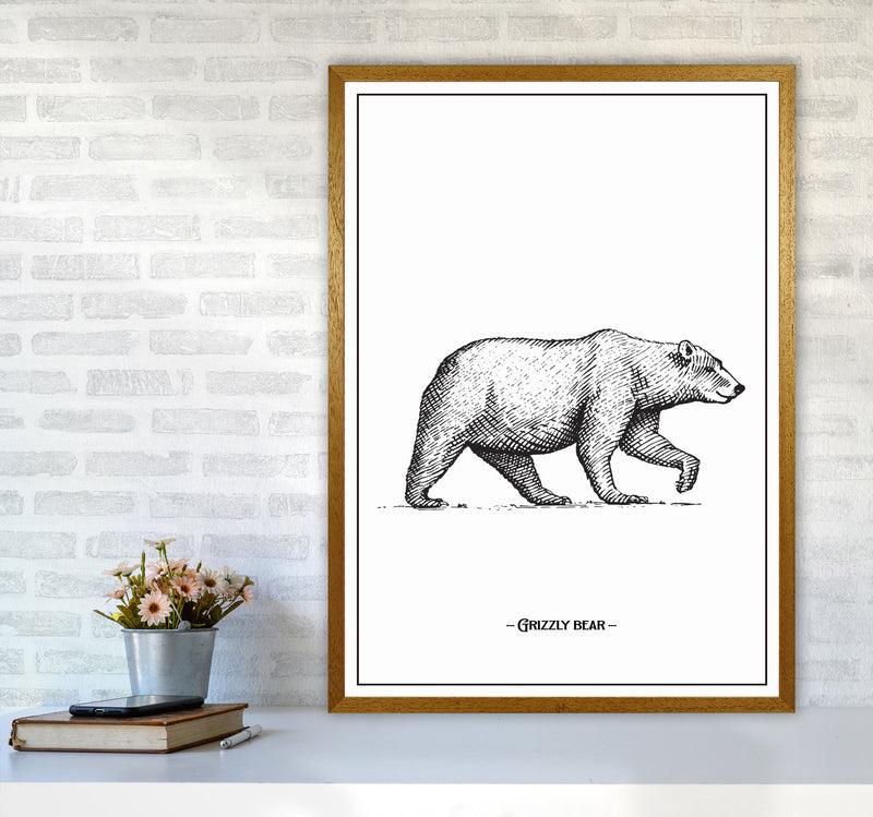 Grizzly Bear Art Print by Jason Stanley A1 Print Only