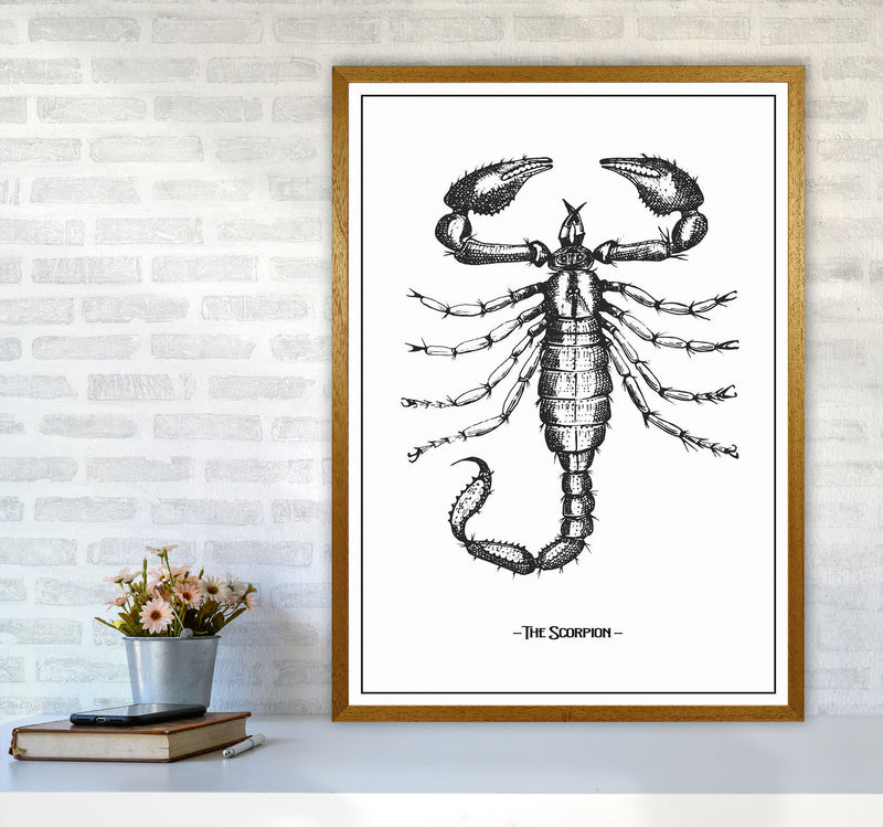 The Scorpion Art Print by Jason Stanley A1 Print Only